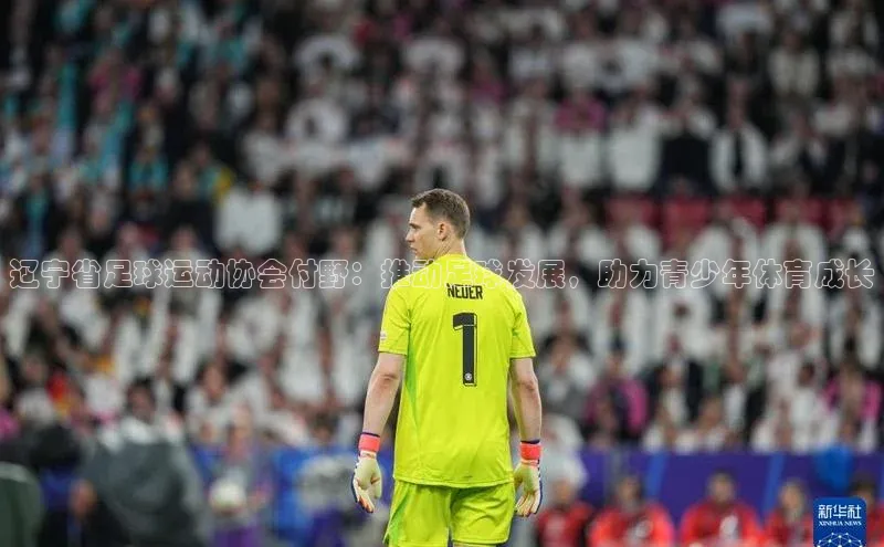 k1体育文心一言辽宁省足球运动协会付野：推动足球发展，助力青少年体育成长
