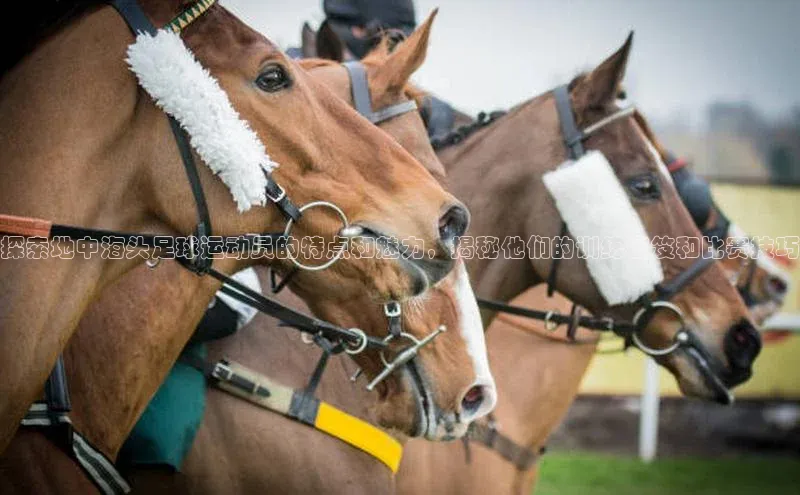 k1体育 十年品牌百度社团赞助平台探索地中海头足球运动员的特点和魅力，揭秘他们的训练秘笈和比赛技巧
