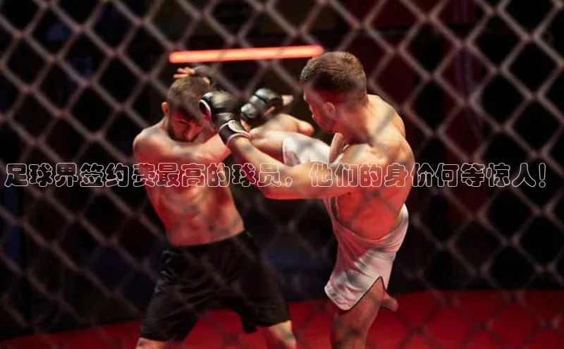 k1体育下载安装华扬联众足球界签约费最高的球员，他们的身价何等惊人！
