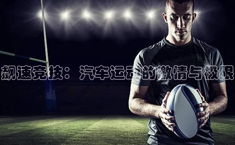 飙速竞技：汽车运动的激情与极限