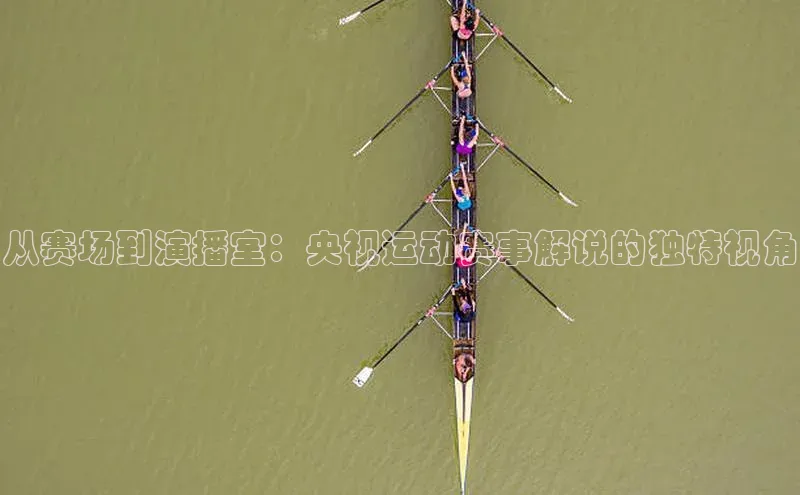 从赛场到演播室：央视运动赛事解说的独特视角