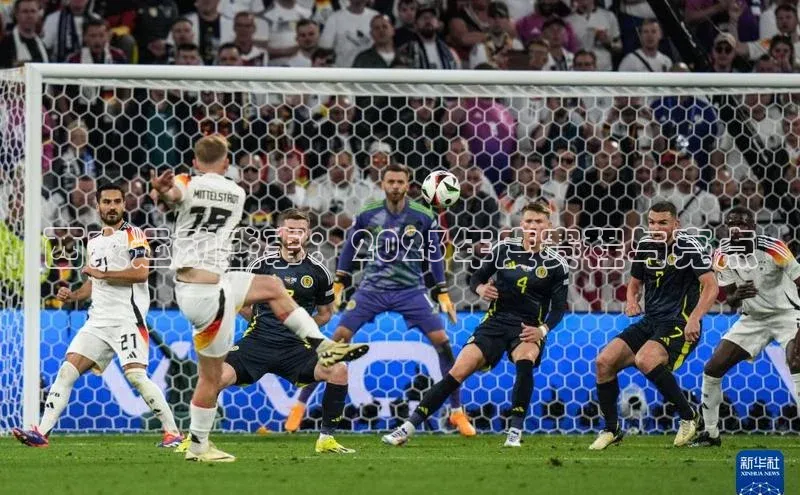 西安运动盛事：2023年度赛程与亮点