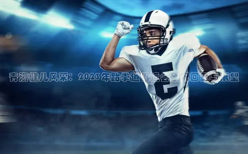 青海健儿风采：2023年跆拳道省运会盛况回顾与展望