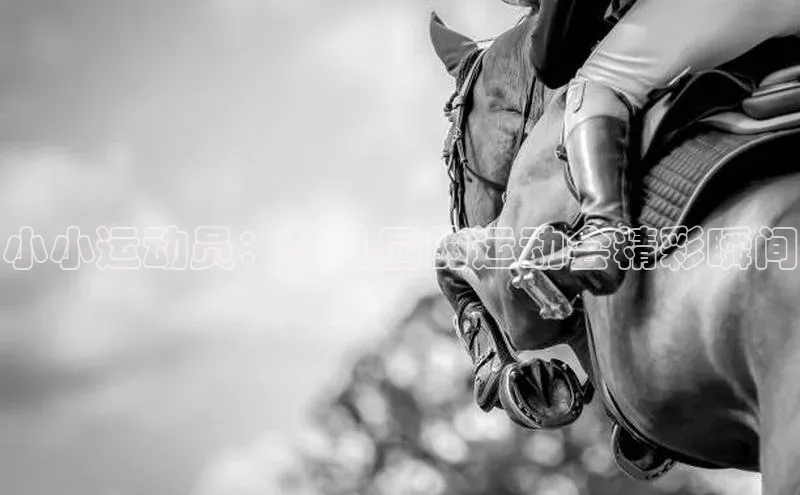 小小运动员：幼儿园的运动会精彩瞬间