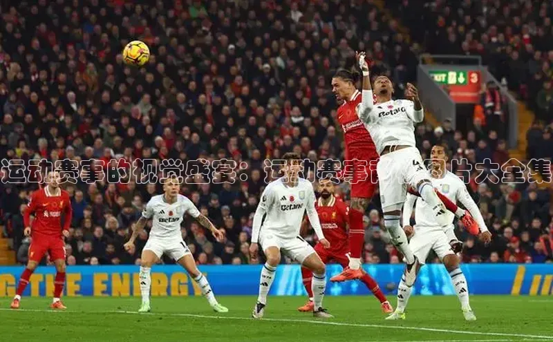 运动赛事的视觉盛宴：运动赛事背板图片大全集