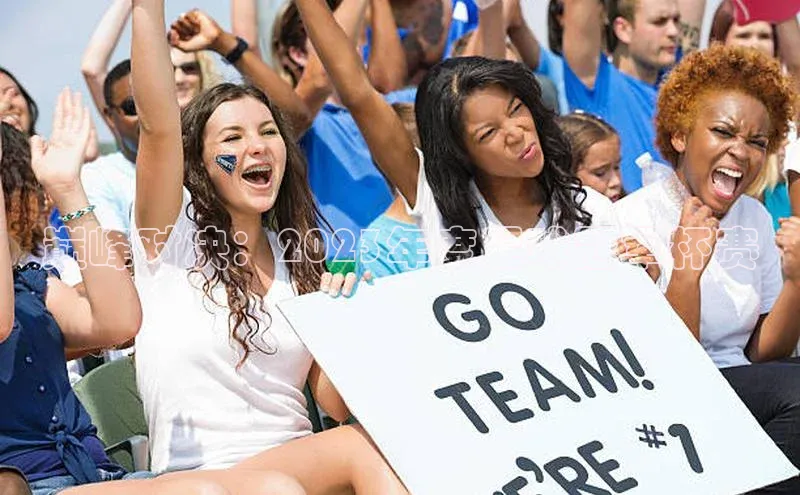 巅峰对决：2023年度足球冠军杯赛