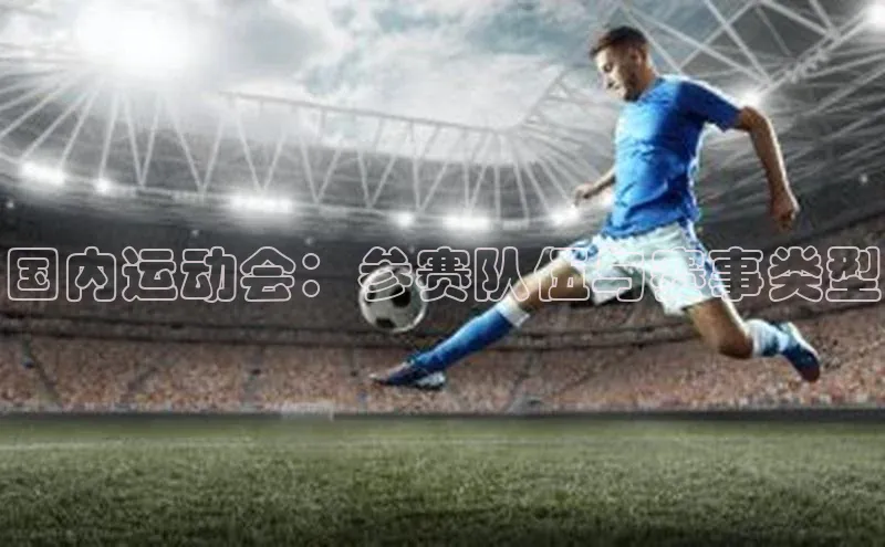 国内运动会：参赛队伍与赛事类型