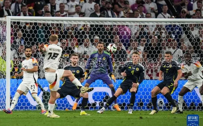 2024年中国龙狮运动盛况：传统与现代的完美融合