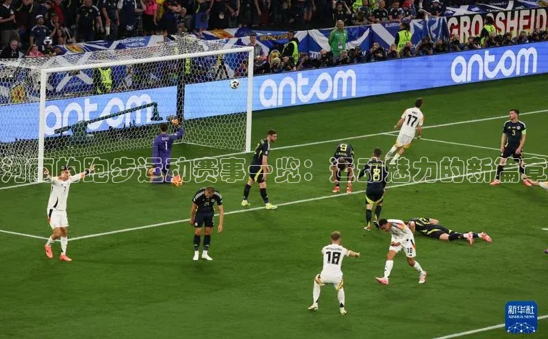 河南的跑步运动赛事一览：运动魅力的新篇章