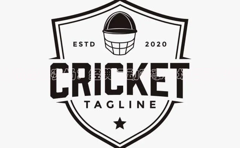 激情点燃赛场：经典运动赛事开场语录集锦