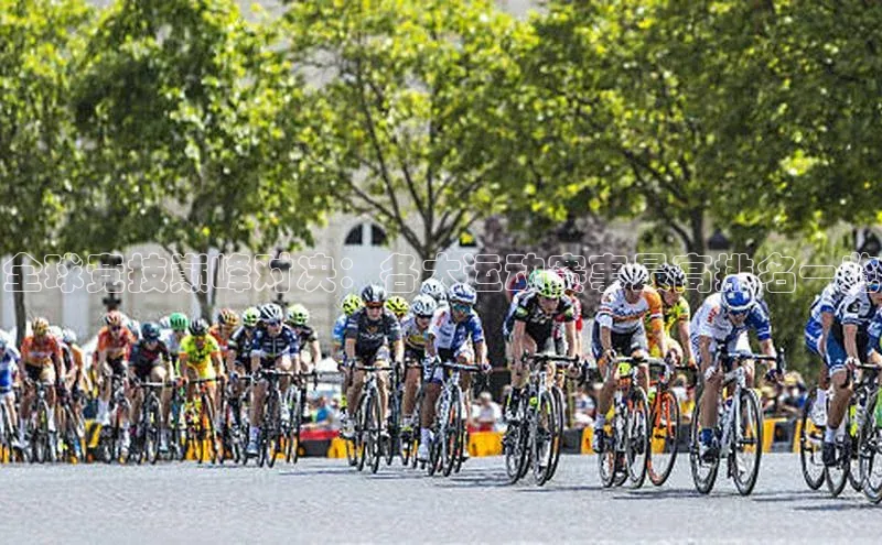 全球竞技巅峰对决：各大运动赛事最高排名一览