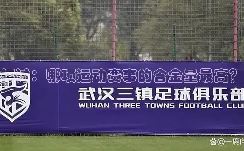 探讨：哪项运动赛事的含金量最高？