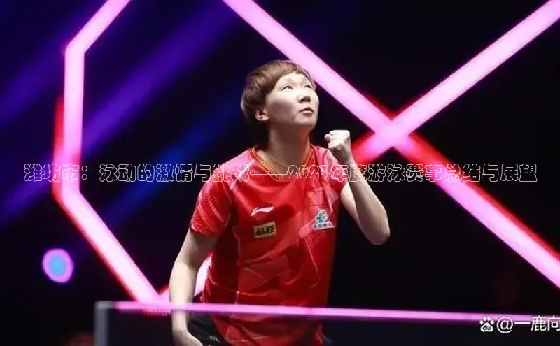 潍坊市：泳动的激情与挑战——2023年度游泳赛事总结与展望