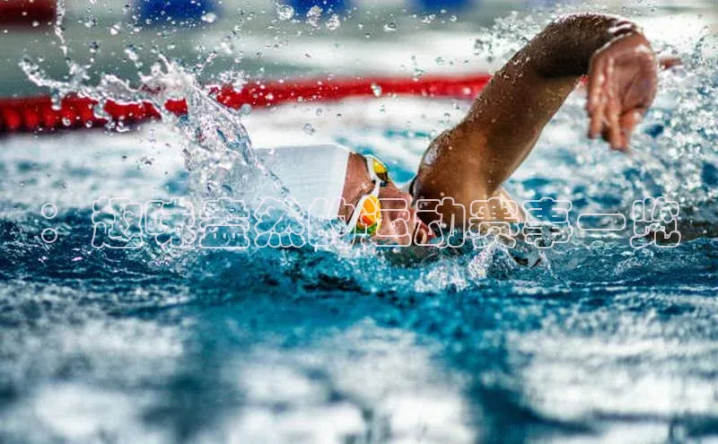 ：趣味盎然的运动赛事一览