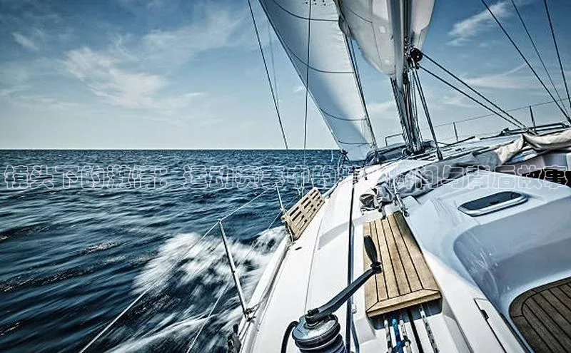 镜头下的激情：运动赛事中的精彩瞬间与背后故事