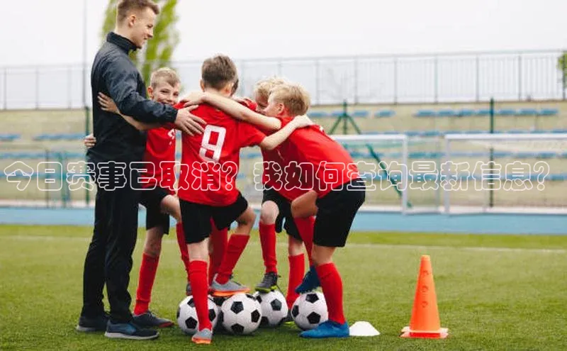 今日赛事已取消？我如何查询最新信息？