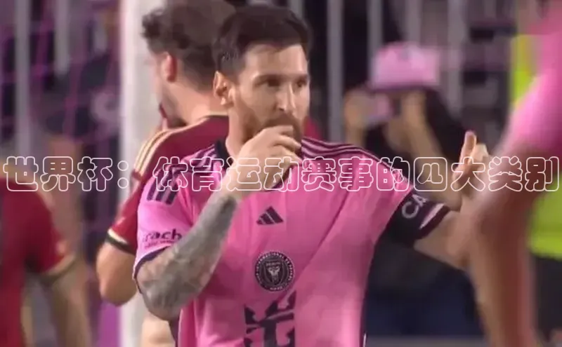 世界杯：体育运动赛事的四大类别