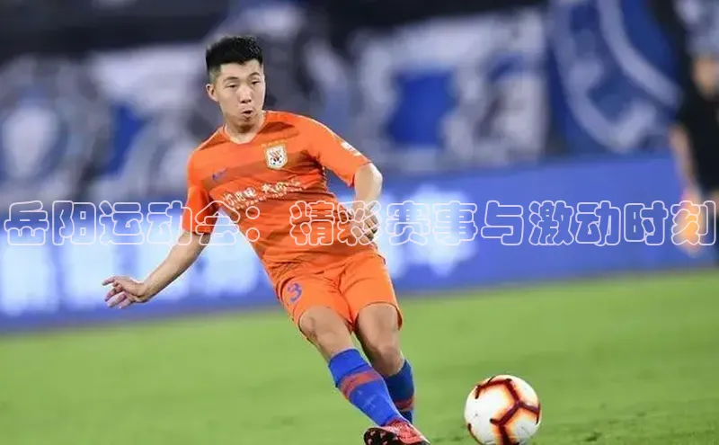 k1体育娱乐平台下载官网